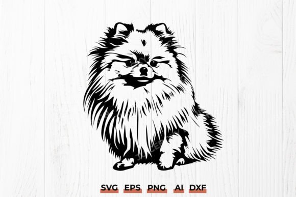 Pomeranian Dog SVG Pomeranian Pet Png